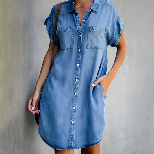 Zinnia | Denim Dress